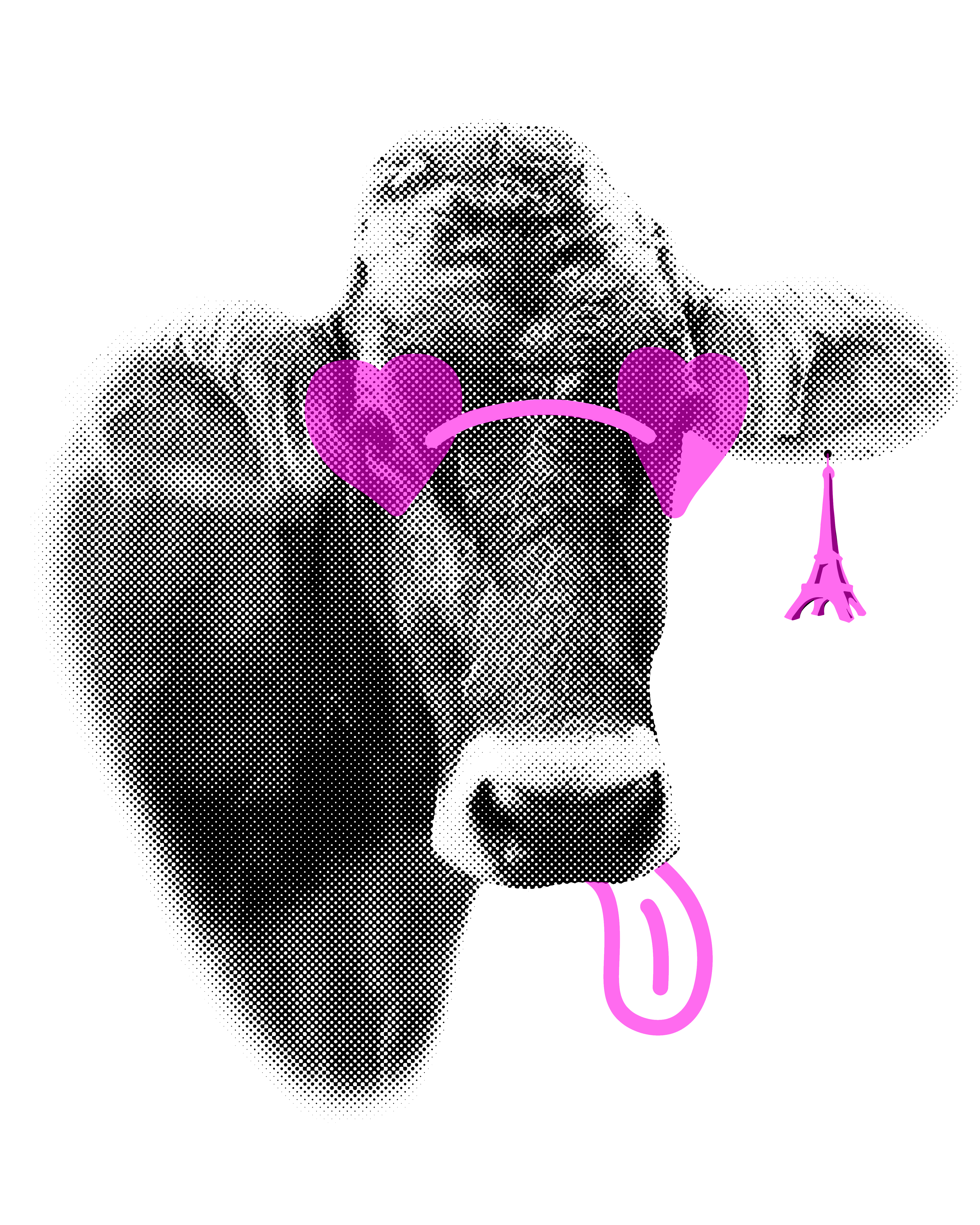 Description de l'image